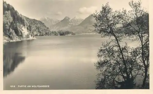 Postcard Austria partie Wolfgangsee