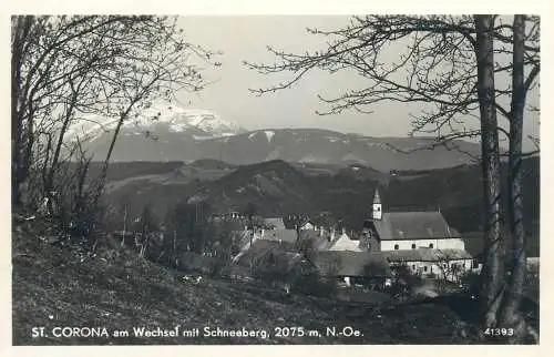 Postcard Austria St. Corona am Wechsel mit Schneeberg