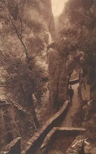 France CPA Postcard Amelie-les-Bains dans les Gorges du Mondony