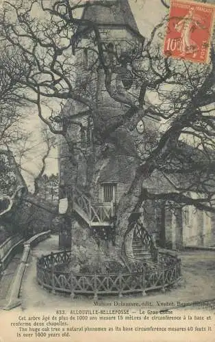 France CPA Postcard Allouville-Bellefosse vieux arbre