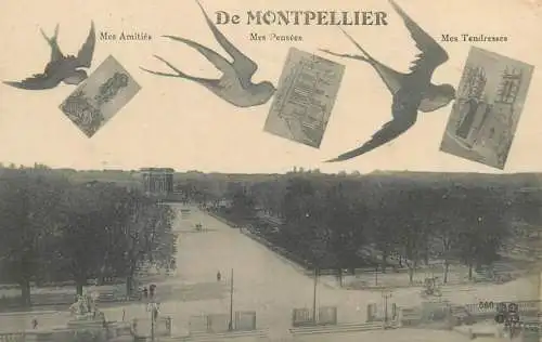 CPA Postcard France Montpellier