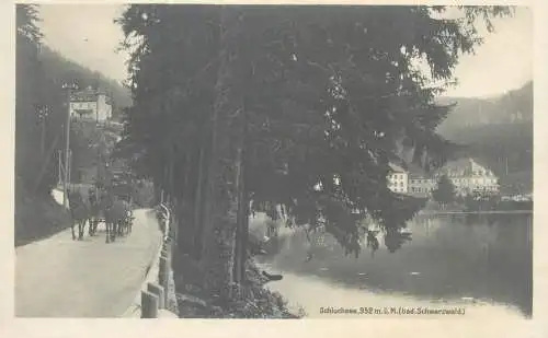 Postcard Germany Schluchsee Schwarzwald