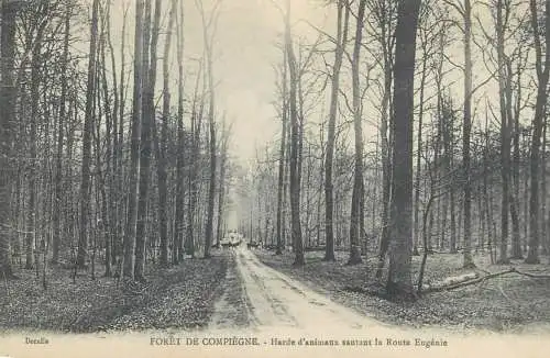 CPA Postcard France Foret de Compiegne harde d'animaux sautant la route Eugenie