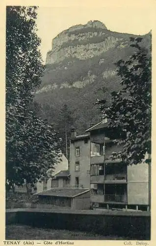 CPA Postcard France Tenay Cote d'Hortiaz