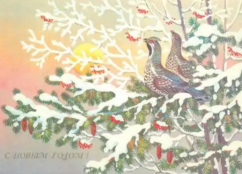 Soviet Postcard birds in snow-covered tree