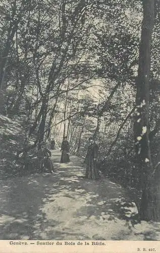 Postcard Switzerland Geneve sentier du Bois de la Batie