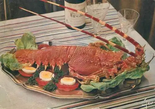 Animal postcard France langouste 1964
