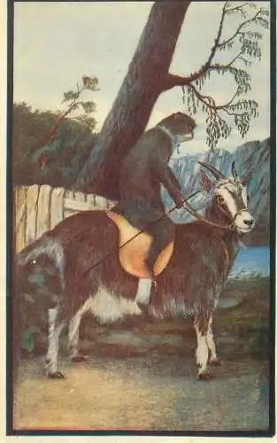 Animal postcard monkey riding the goat Bramber Sussex 1981