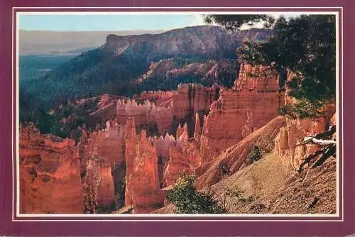 Postcard United States > UT - Utah > Bryce Canyon Cedar city