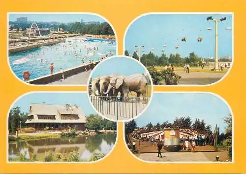 Postcard Poland Katowice-Chorzow multi view elephant zoo culture palace