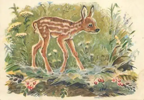 Comics Postcard fawn roebuck illustration