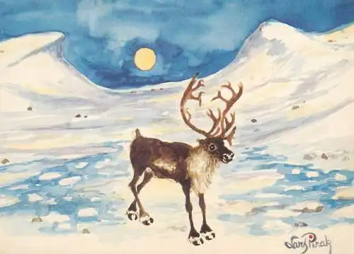 Comic humour signed Postcard stag on the mountain range snow-covered landscape moonlight scenery Lars Pirak painting