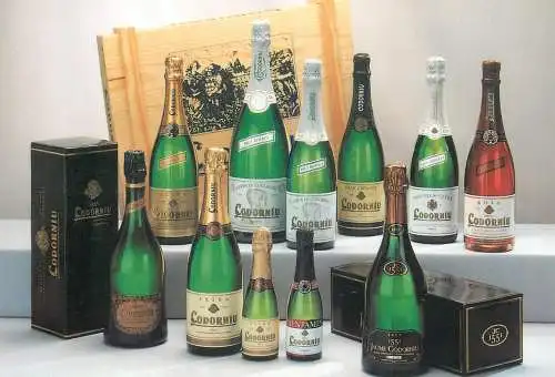 Advertising Postcard Codorniu Cava Spanish sparkling wine
