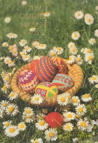 Easter greetings Postcard pencilled eggs basket in daisies flower field detail view