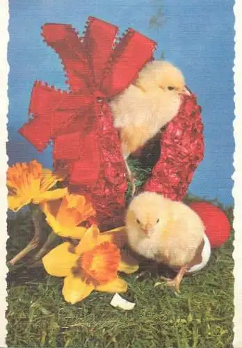 Easter greetings Postcard chicken and decorated eggshell fancy house type
