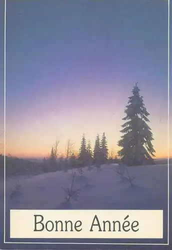 Postcard Winter Holidays Bonne Annee greetings snow-covered landscape fir tree sunrise view