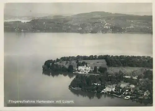 Postcard Switzerland Fliegeraufnahme Hertenstein mit Luzern aerial