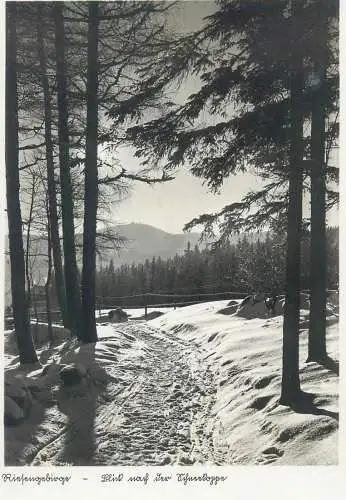 Postcard Switzerland winter forest landscape