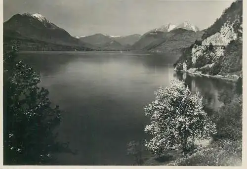 Postcard Switzerland Luzern Rotschuo Heim  lake view