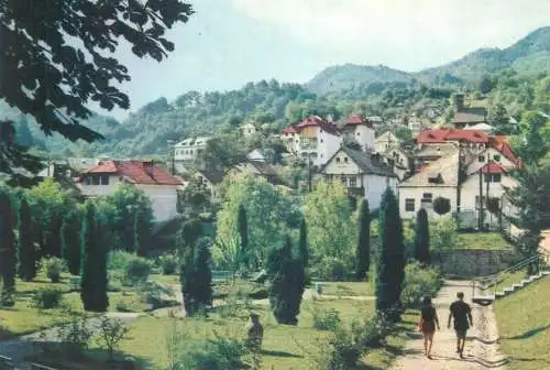 Postcard Romania Olanesti park view 1970