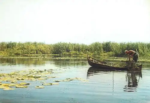 Postcard Romania Danube Delta fisherman