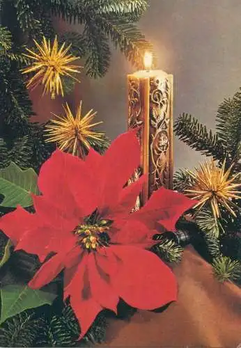 Winter Holidays greetings Christmas Postcard artificial flower and lit candle