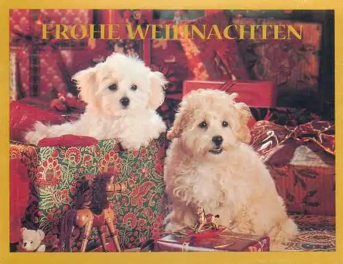 Winter Holidays greetings Christmas Postcard puppies and presents gifts