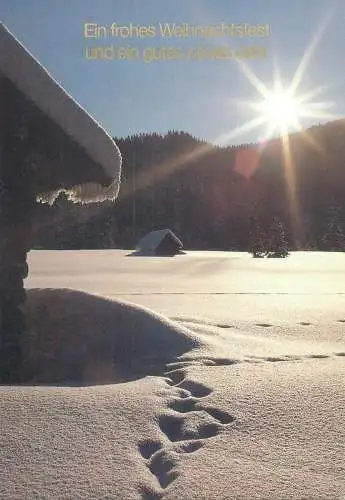 Winter Holidays greetings Postcard sunny winter day snow-covered house picturesque natural landscape