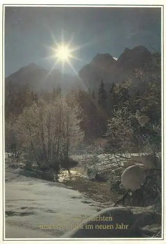 Winter Holidays greetings Post card winter night moonlight scenery picturesque natural landscape