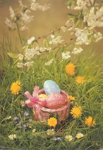 Easter greetings Postcard pencilled eggs basket in the field