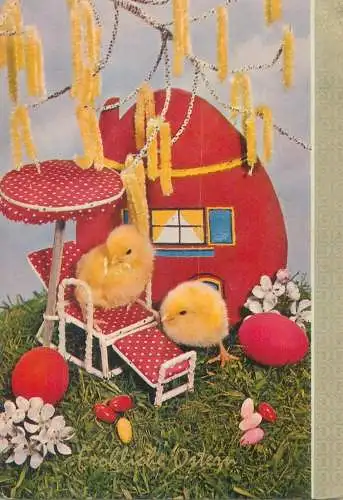 Easter greetings Postcard chicken egg house