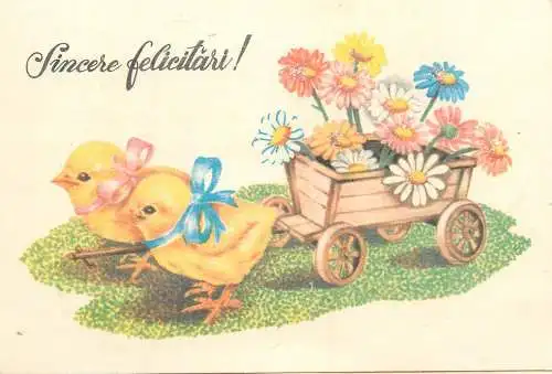 Easter greetings illustration Postcard chicken drawn cart filled with flowers