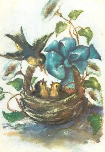 Animals in art Postcard illustration mama bird feeding her babies