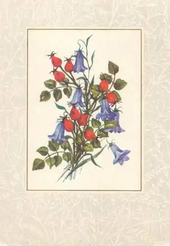 Postcard Field Flowers blue and red Germany