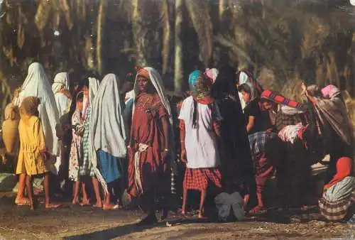 Postcard Africa Tunisia South Tunisia women at the fountain typical costumes natives ethnic 1972