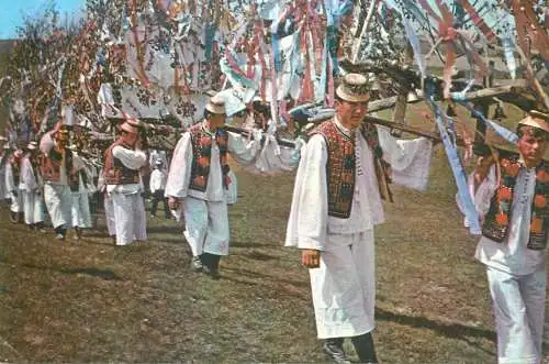Postcard Romania Mara Valley - Tanjaua traditional custom young men wearing folk costumes