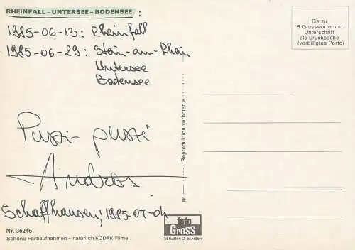 Postcard Switzerland Bodensee 1985 Rheinfall
