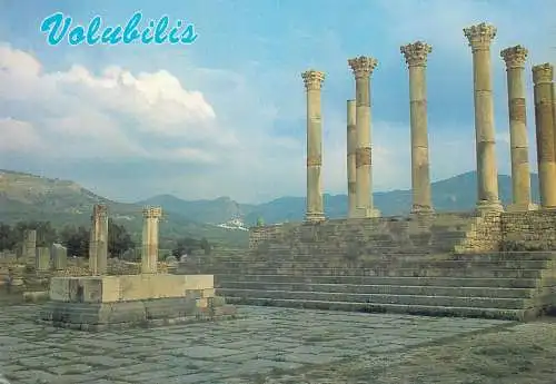 Postcard Morocco  Volubilis le capitole ruins Zerhoun massif