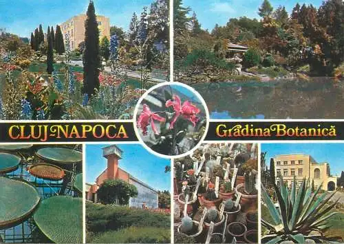 Romania carte postala Cluj-Napoca Gradina Botanica diverse aspecte