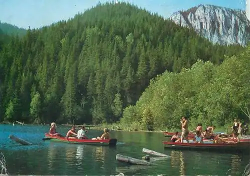 Romania Postcard Lacul Rosu