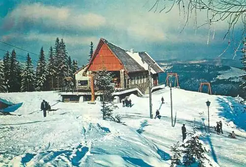 Romania Postcard Paltinis the cableway station
