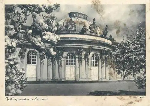 Potsdam Sansoucci AK