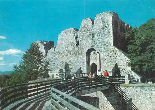 Romania Postcard Targu-Neamt Cetatea Neamtului