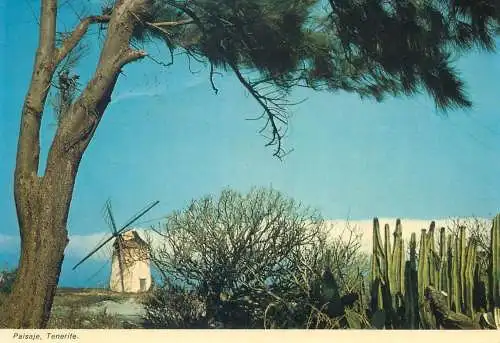 Postcard Spain Tenerife landscape windmill