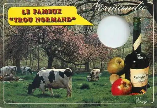 Postcard France Calvados La Touques normand 1985