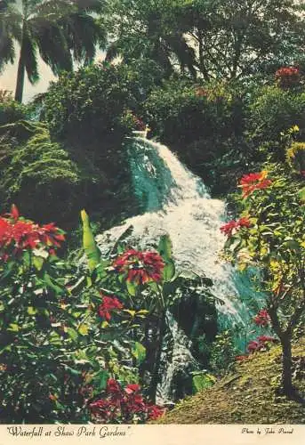 Postcard Jamaica Shaw Park gardens waterfall