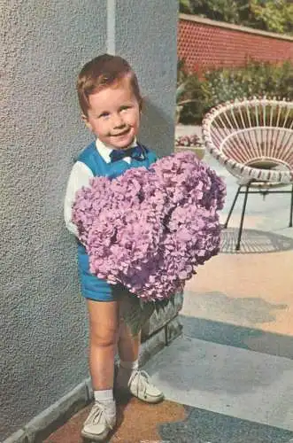 Postcard children scenes children elegant boy with large flower bouquet innocence