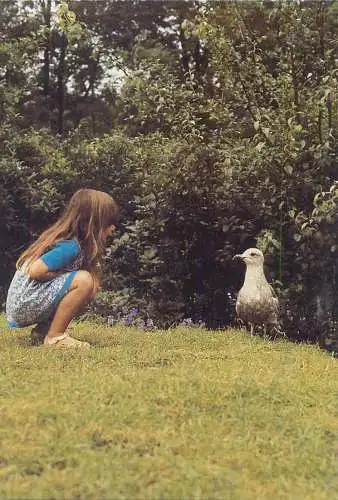 Postcard children scenes girl with seagul in nature