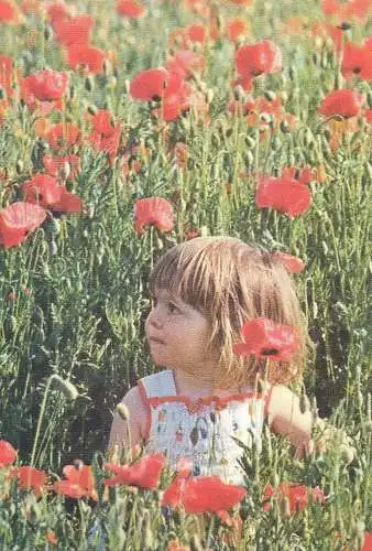 Postcard children scenes Belgium 1984 girl in poppy field