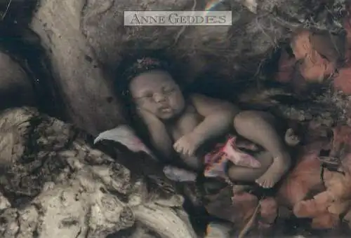 Postcard children scenes Anne Geddes Australia baby bebe sleeping nature